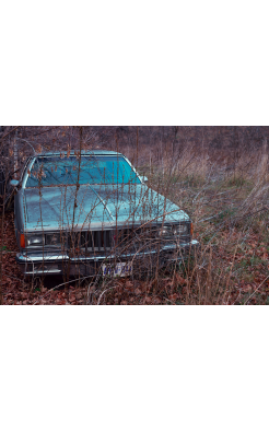 Kourtney Roy, Untitled (Northern Noir)