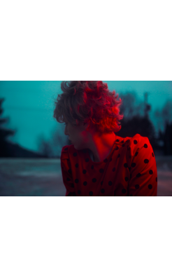 Kourtney Roy, Untitled (Northern Noir)