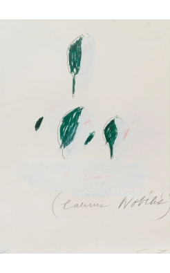 Cy Twombly, Natural History Part II: Some Trees of Italy, 1976 