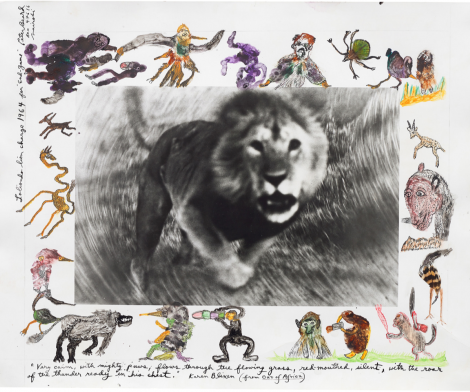 Peter Beard, Loliondo Lion Charge