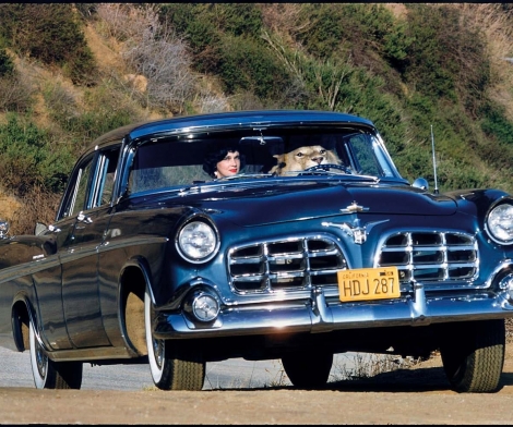 Elliott Erwitt, Lion Driving, California, USA, 1956
