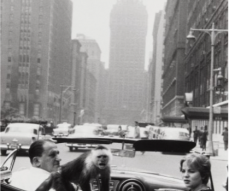 Garry Winogrand, Park Avenue, 1959