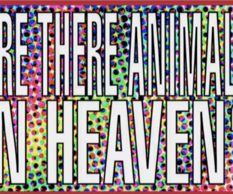 Barbara Kruger, Untitled (are there animals in heaven?), 2011