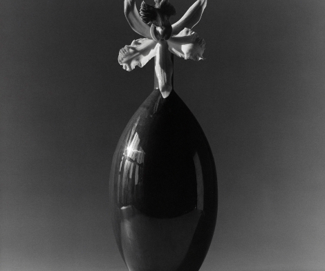 Robert Mapplethorpe, Flower, 1981