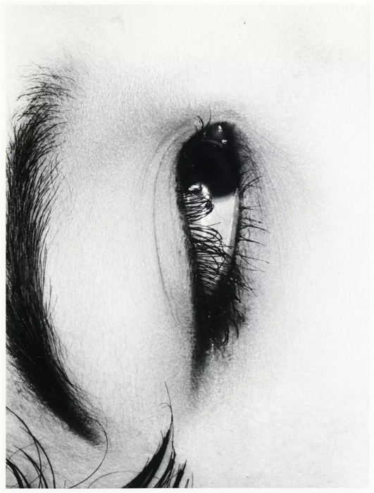 Nobuyoshi Araki, Erotos