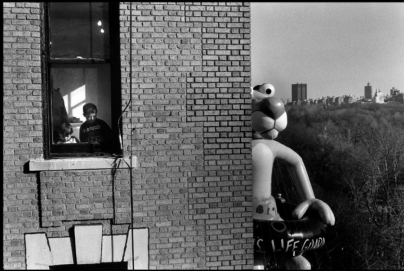 Elliott Erwitt