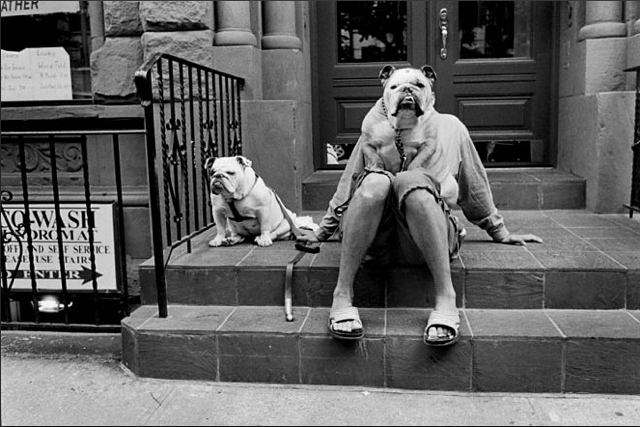 Elliott Erwitt, New York City