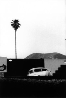 Elliott Erwitt, Los Angeles, Single Plam