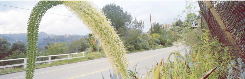 Mulholland near Runyon Canyon, Karen Halverson, 1991