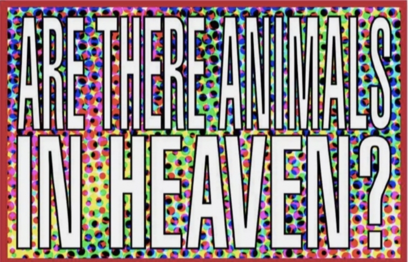 Barbara Kruger, Untitled (are there animals in heaven?), 2011