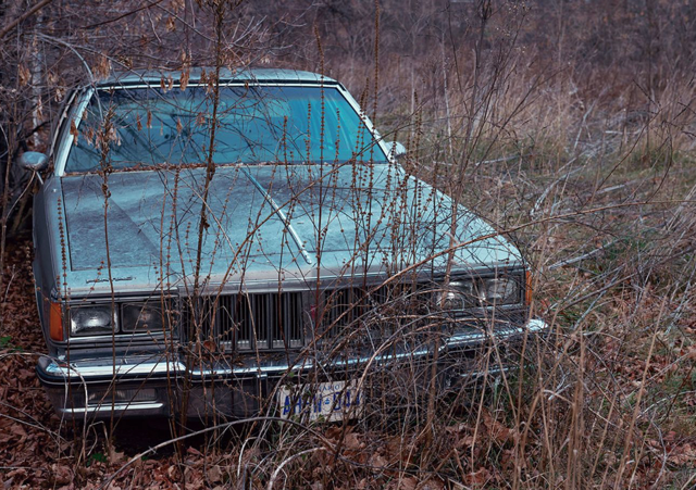 Kourtney Roy, Untitled (Northern Noir)