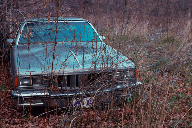 Kourtney Roy, Untitled (Northern Noir) Kourtney Roy, Untitled (Northern Noir)