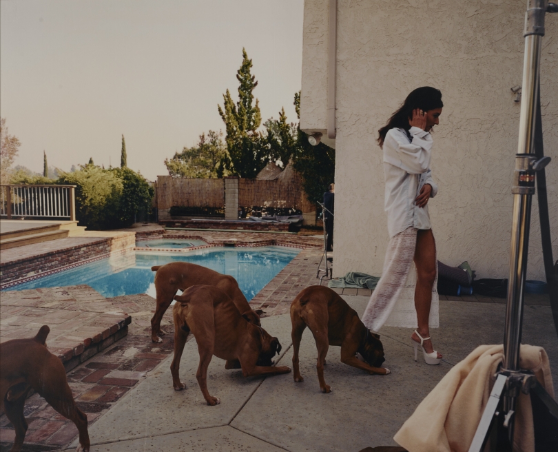 Larry Sultan, Boxers, Mission Hills (from the series The Valley), 1999