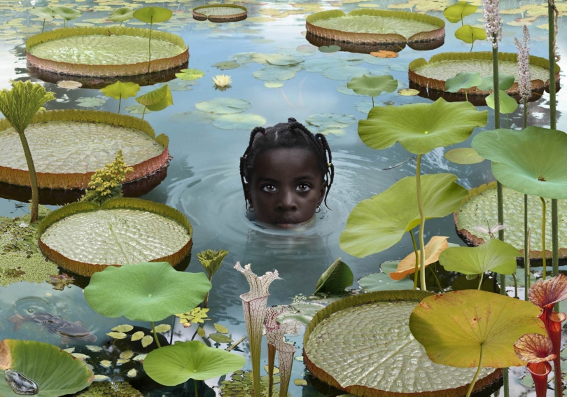 Ruud van Empel, Girl with Lillipads