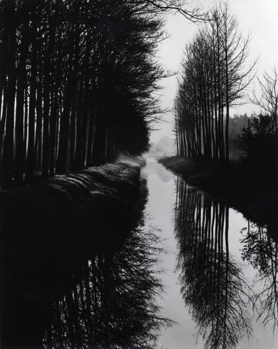 Brett Weston, Canal Brett Weston, Canal