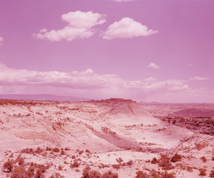 David Benjamin Sherry, Pink Desert